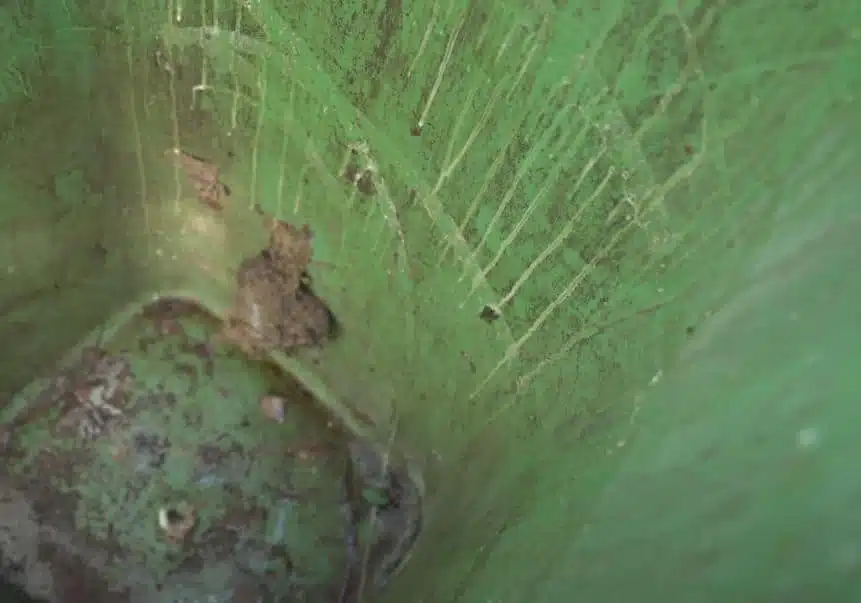 filthy green wheelie bin inside