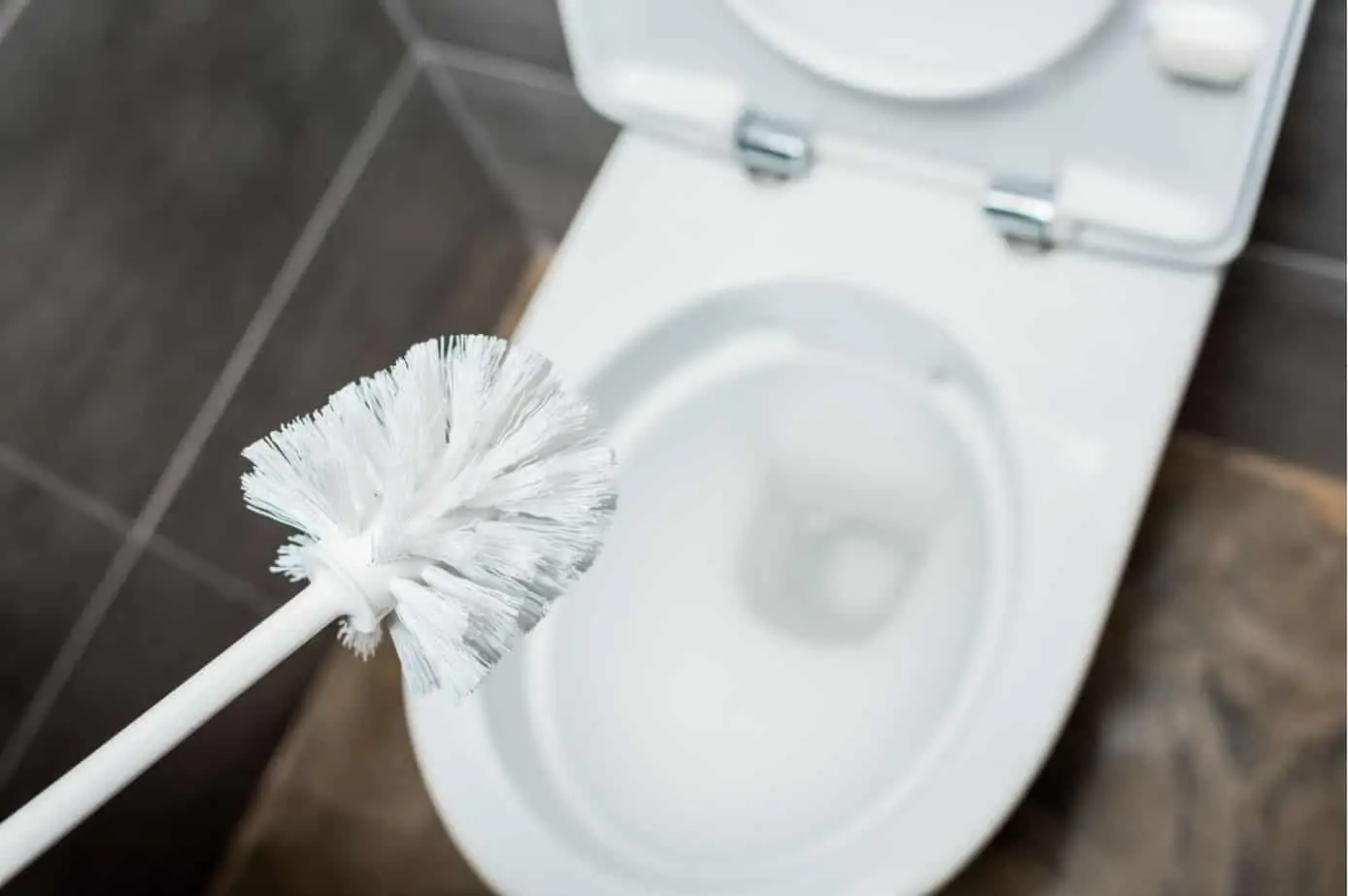 person standing over a toilet holding a toilet bowl brush
