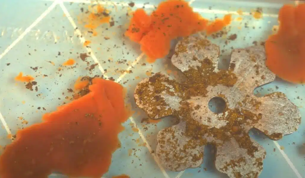 A rusted ornament sitting in 100ml of vinegar and tomato sauce