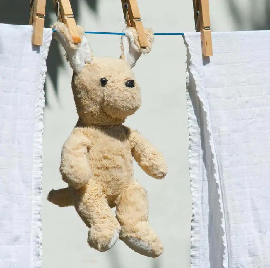 yellow stuffed bear hung with pegs on a clothesline after having being washed
